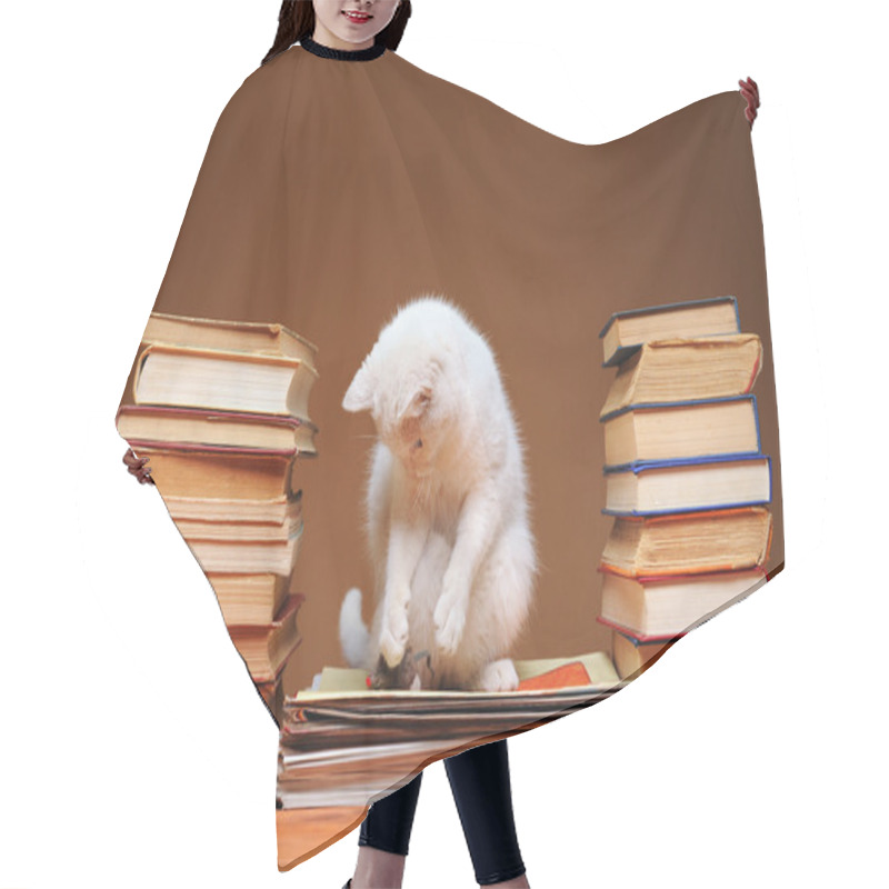 Personality  White Cat Looking At The Plush Mouse Hair Cutting Cape