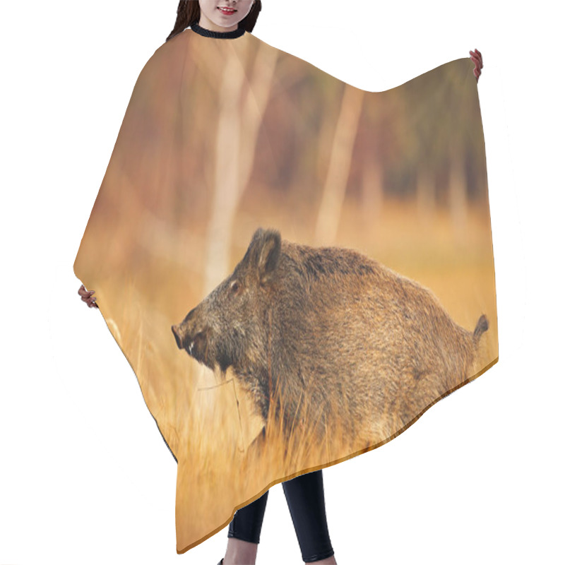 Personality  Big Pig Running Hair Cutting Cape