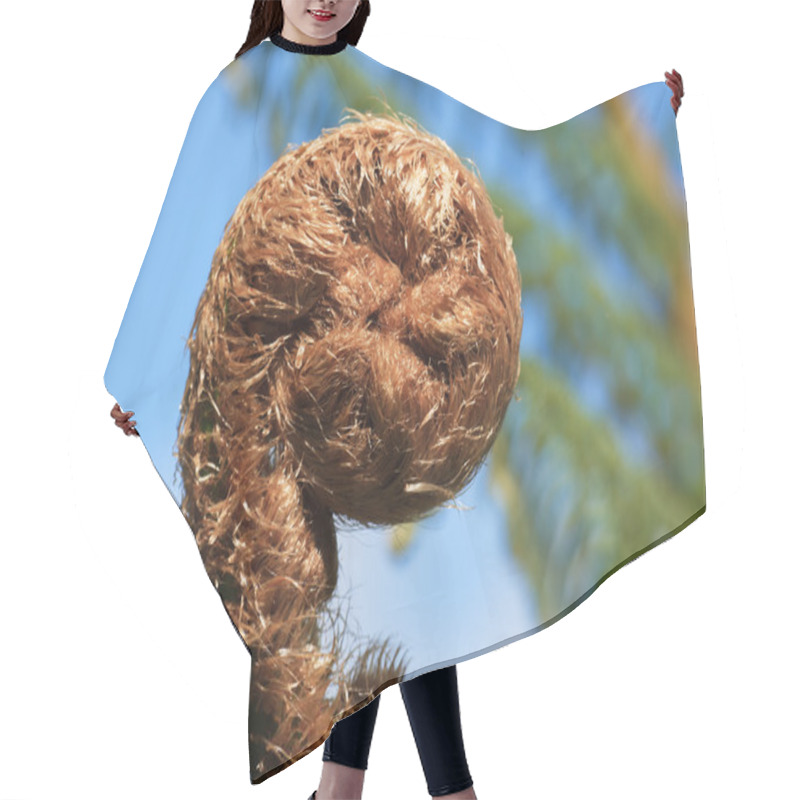 Personality  Unravelling Fern Hair Cutting Cape