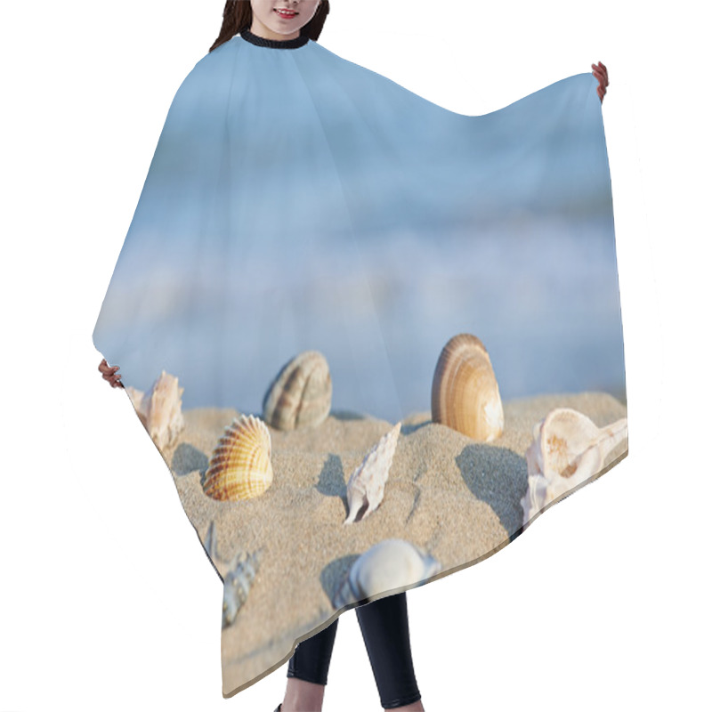 Personality  Sea Shells On Beach Hair Cutting Cape