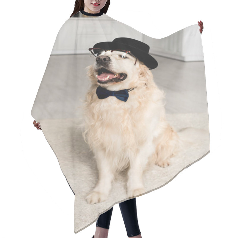 Personality  Cute Golden Retriever In Hat, Bow Tie And Glasses In Apartment  Hair Cutting Cape