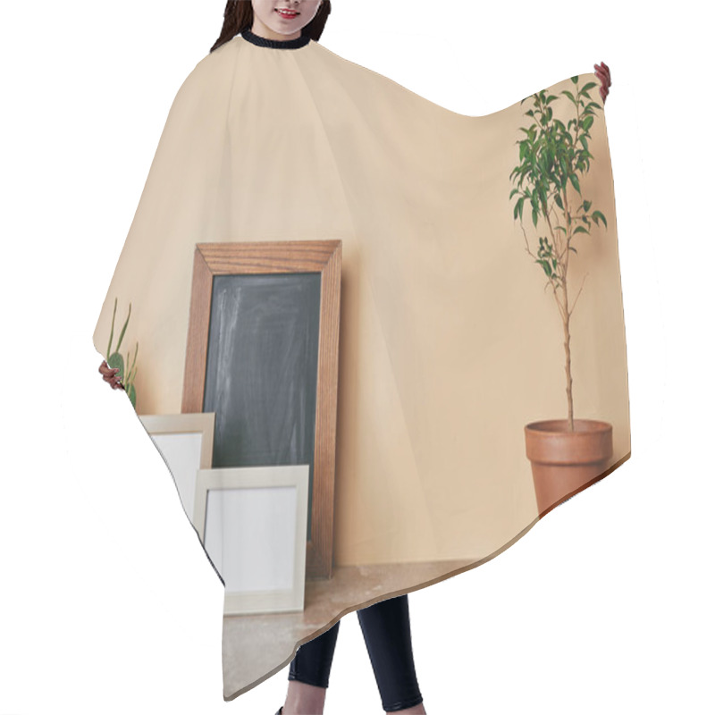 Personality  Plants And Photo Frames On Dusty Table On Beige Background Hair Cutting Cape