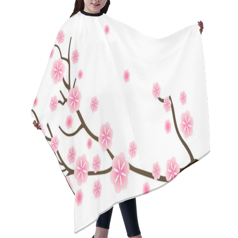 Personality  Sakura Cherry Blossom In Spring Isolated On White Hair Cutting Cape