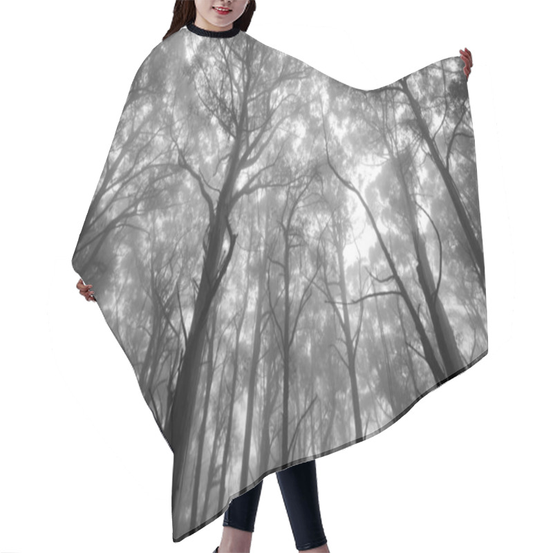 Personality  A Mystical View Of Forrest Tree Tops In Monochrome Hair Cutting Cape