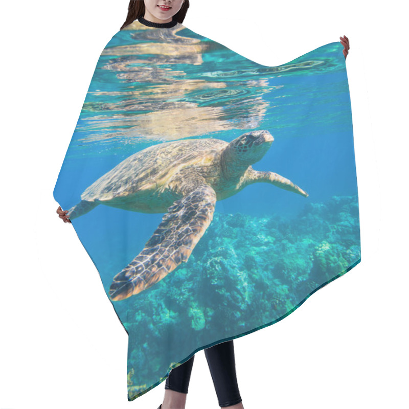 Personality  Green Sea Turtle Swimming In Ocean Sea Hair Cutting Cape