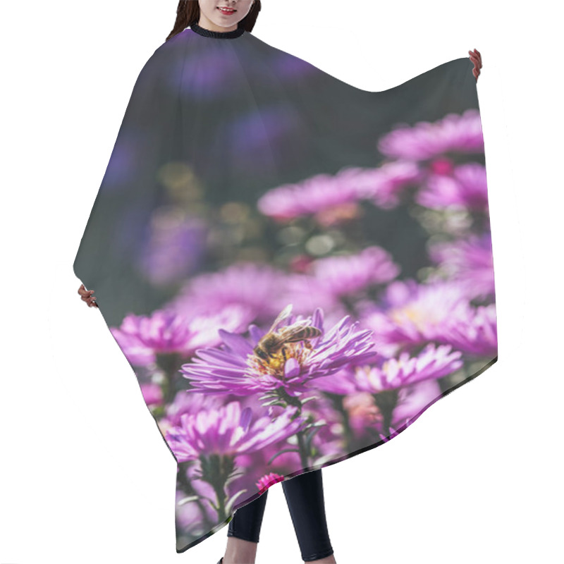 Personality  Close Up View Of Bee On Beautiful Purple Fresh Flower In Garden Hair Cutting Cape