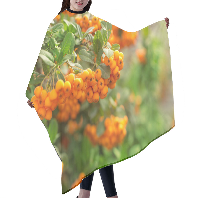 Personality  Rowan Berries On A Tree Hair Cutting Cape