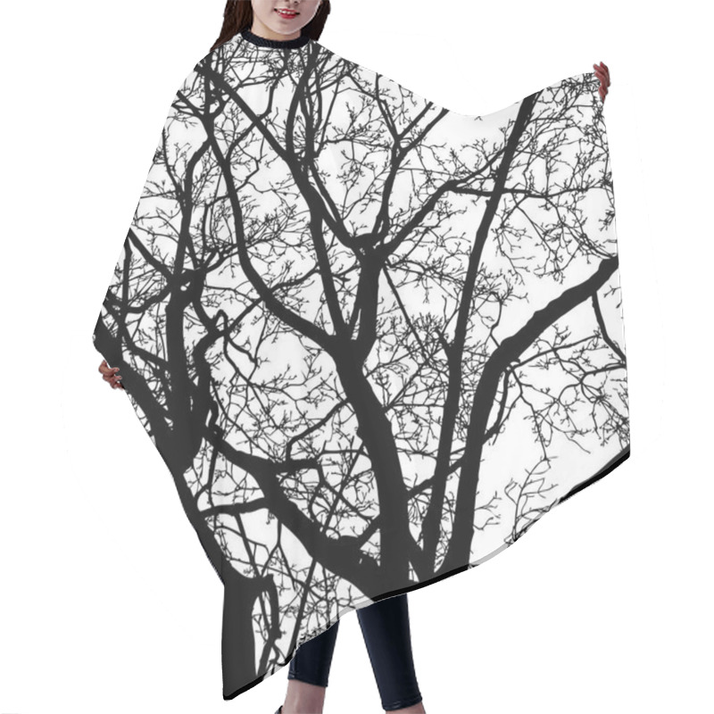 Personality  Silhouettes Of Deciduous Trees In Winter Hair Cutting Cape