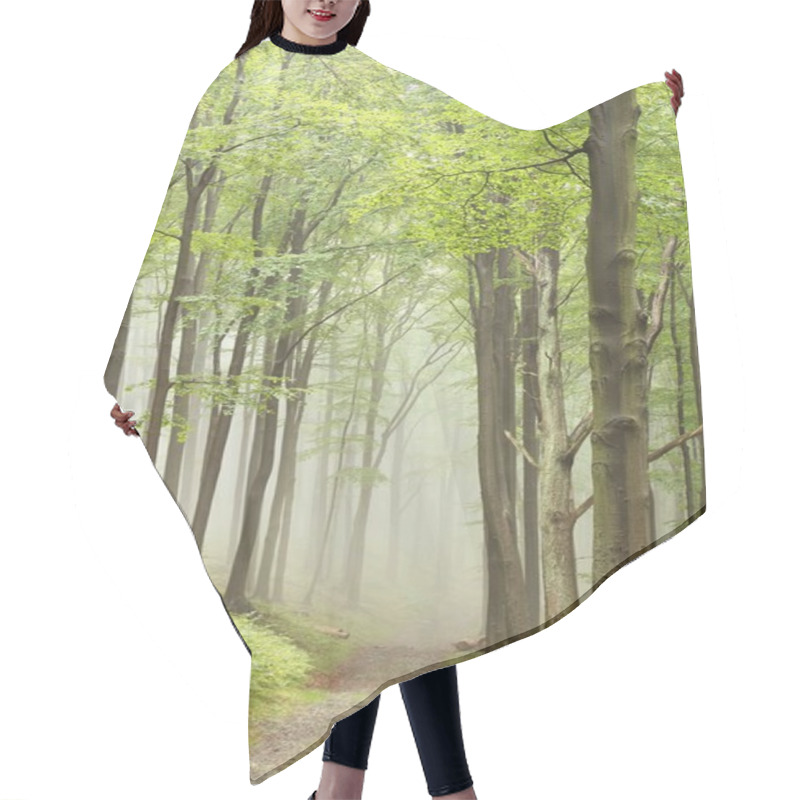 Personality  Misty Forest Path Hair Cutting Cape