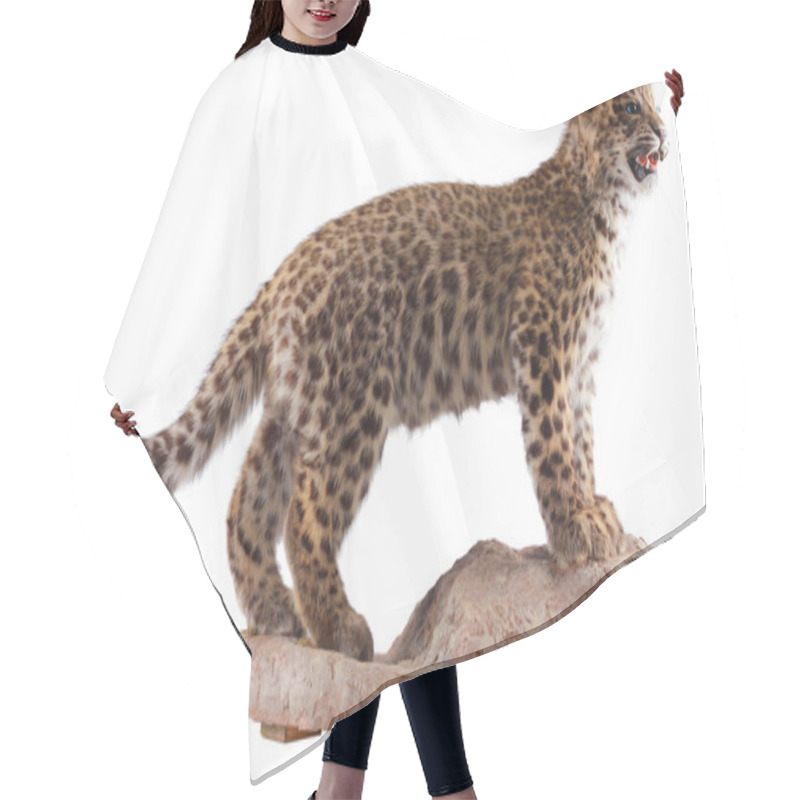 Personality  Chinese Tiger Hair Cutting Cape