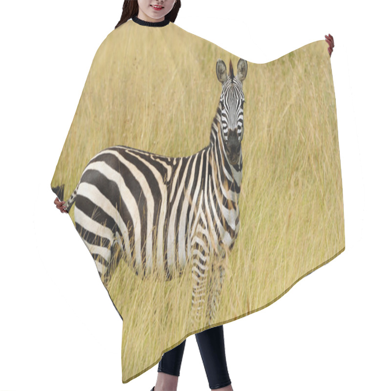 Personality  Zebra On Grassland In Africa Hair Cutting Cape