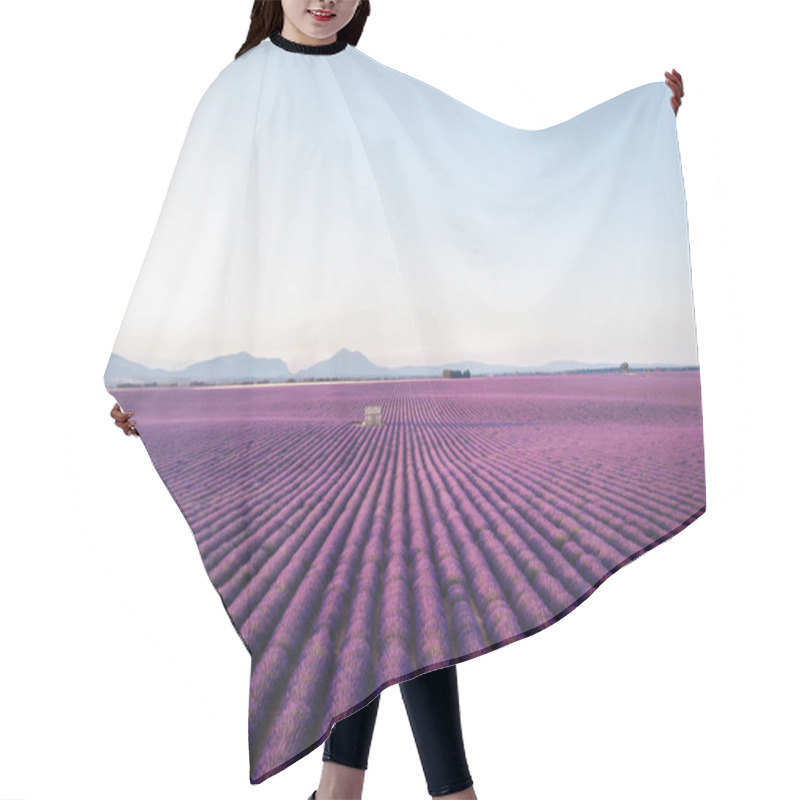 Personality  Purple Hair Cutting Cape