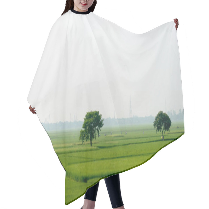 Personality  One Big Banyan Tree In Meadow. Solitary And Alone. Landscape Scenery Of A Tropical Indian Agricultural Farmland In Early Summer. Greener Cities For A Cooler Planet. Environmental Conservation Concept. Hair Cutting Cape