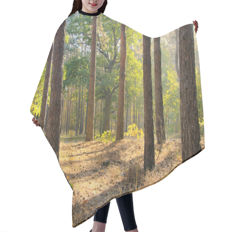 Personality  Forest Hair Cutting Cape