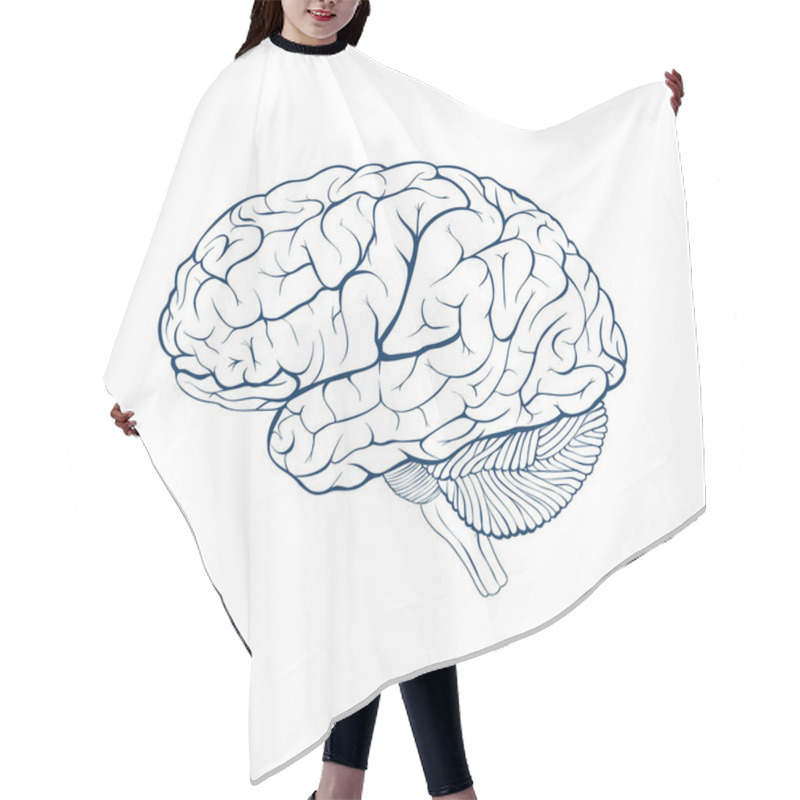 Personality  Human Brain Side View. Isolated Vector Illustration. Hair Cutting Cape