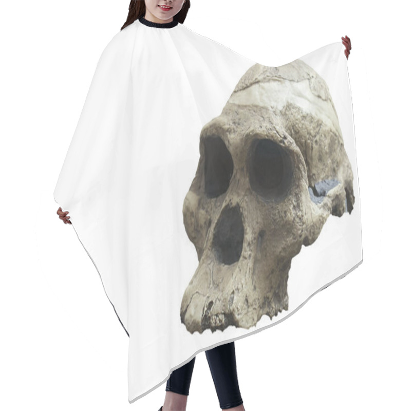 Personality  Skull Of Australopithecus Africanus Hair Cutting Cape