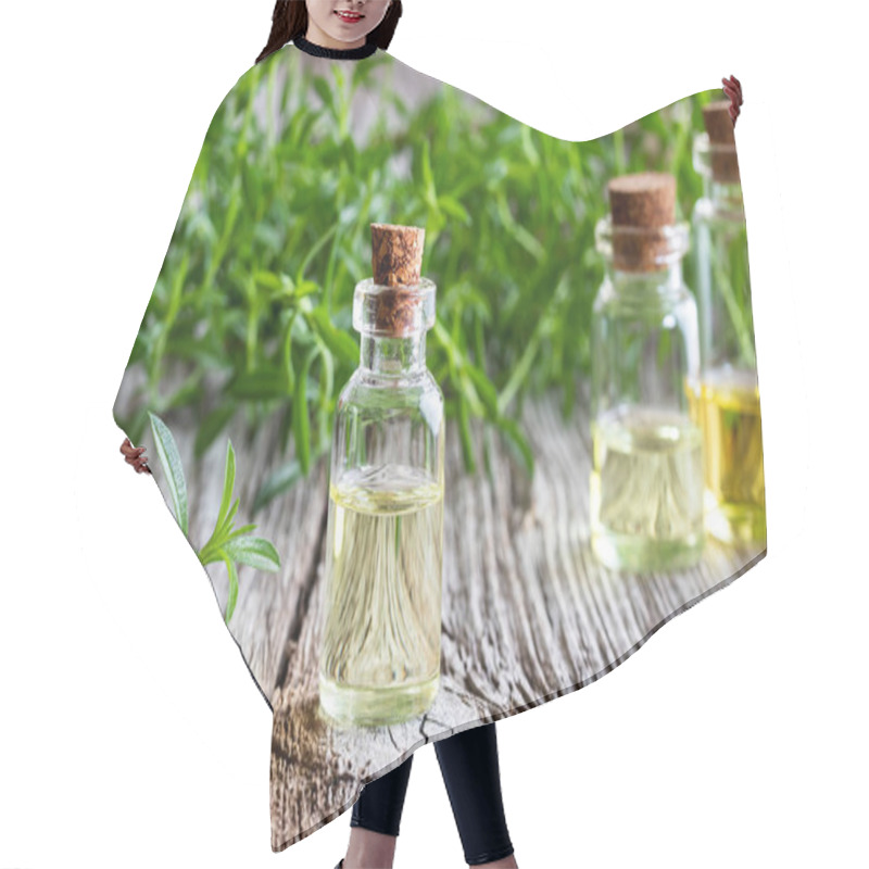 Personality  A Bottle Of Mountain Savory Essential Oil With Fresh Satureja Montana Plant Hair Cutting Cape