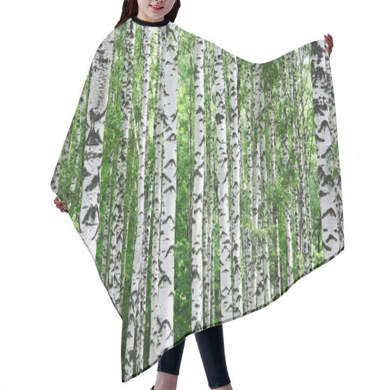 Personality  Trunks Of Birch Trees In Summer Hair Cutting Cape