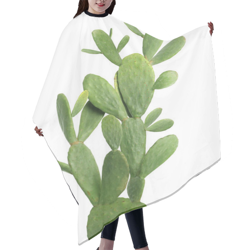 Personality  Beautiful Big Green Cactus On White Background Hair Cutting Cape