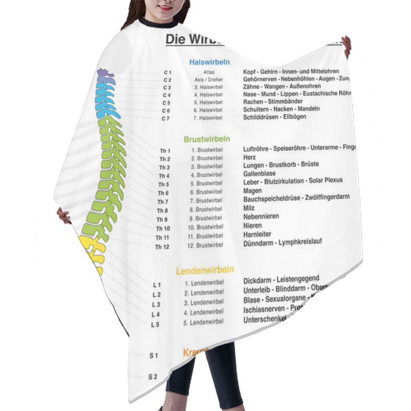 Personality  Backbone Reflexology Chart With Accurate Description Of The Corresponding Internal Organs And Body Parts, And With Names And Numbers Of The Vertebras. GERMAN LANGUAGE. Hair Cutting Cape