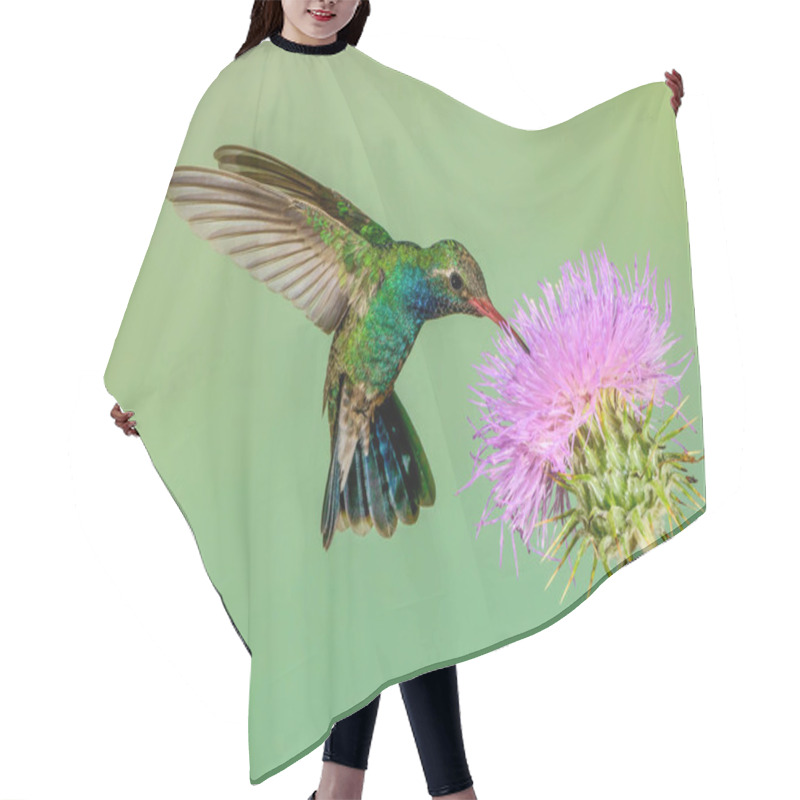 Personality  Broad-billed Hummingbird Hair Cutting Cape