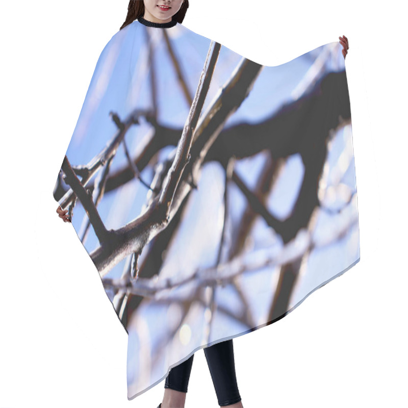 Personality       Branches Covered With A Layer Of Ice, Icicles                           Hair Cutting Cape