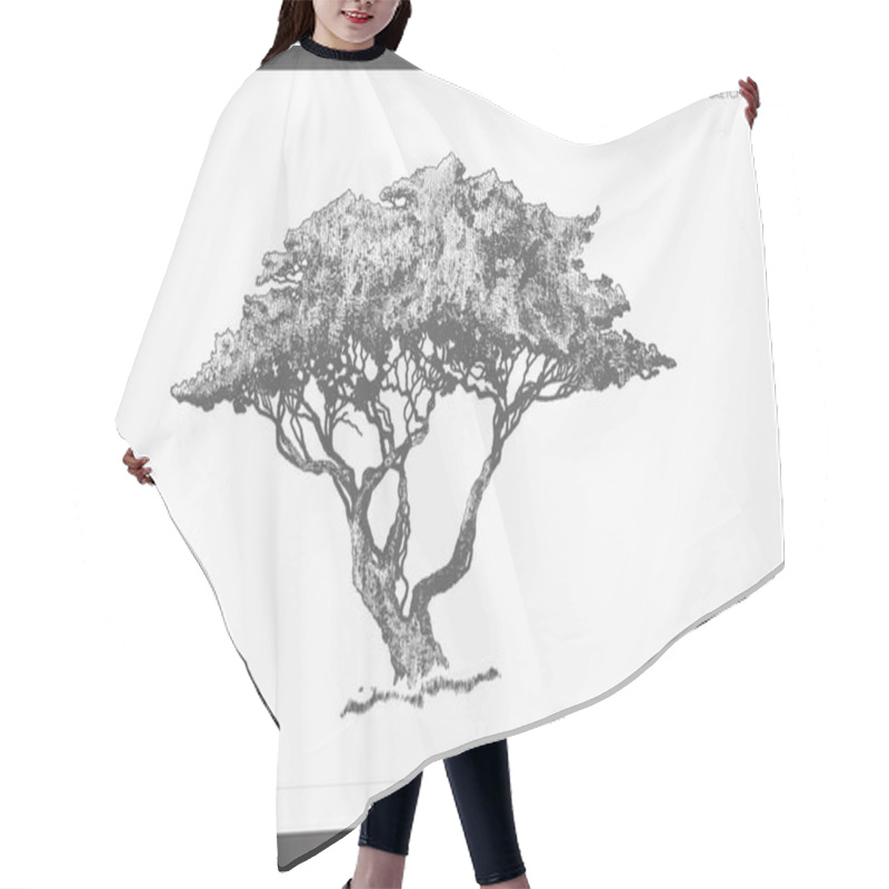 Personality  High Detail Vector Of Safari Tree, Acacia Sketch Hair Cutting Cape