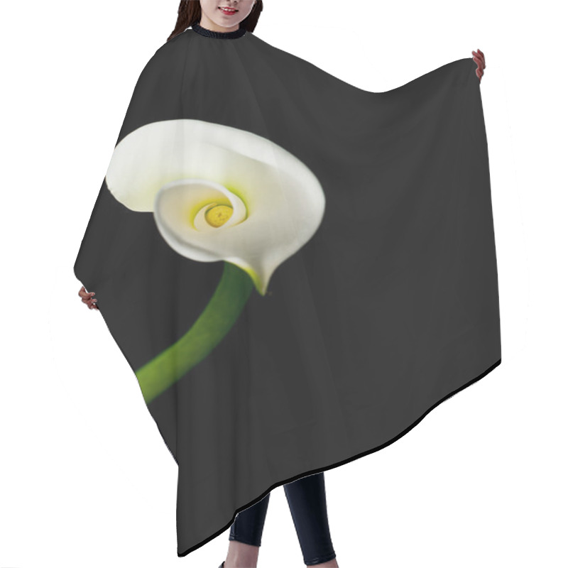 Personality  Calla Lily Isolated On Black  Hair Cutting Cape