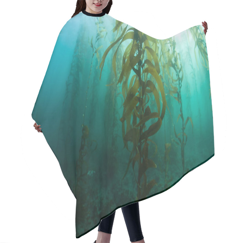 Personality  Kelp Forest Underwater In California Hair Cutting Cape