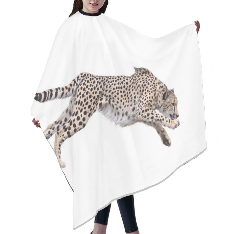 Personality  Cheetah Running ,Isolated On White Background Hair Cutting Cape