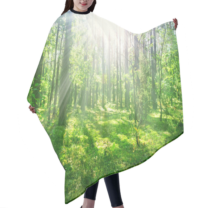 Personality  Misty Old Forest Hair Cutting Cape