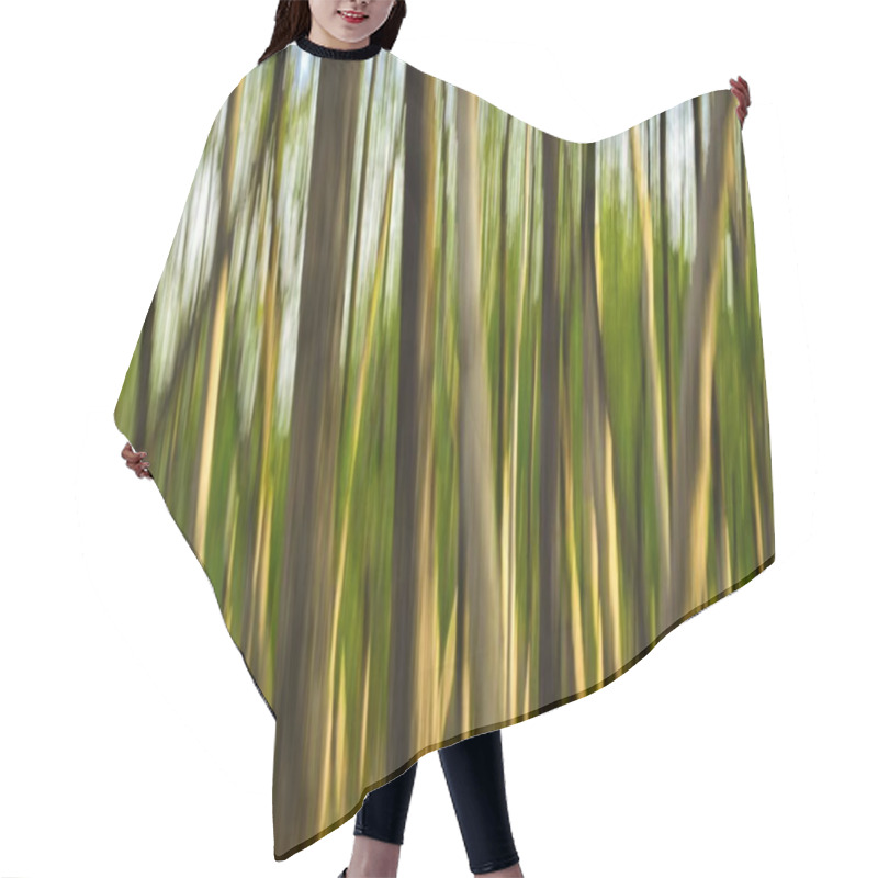 Personality  Abstract View Of A Lush Green Forest With Blurred Tall Trees. Hair Cutting Cape