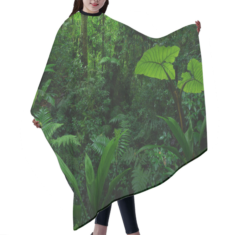 Personality  Tropical Rainforest In Costa Rica Hair Cutting Cape