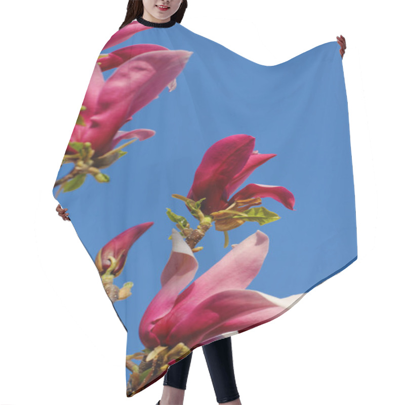 Personality  Magnolia Tree Hair Cutting Cape