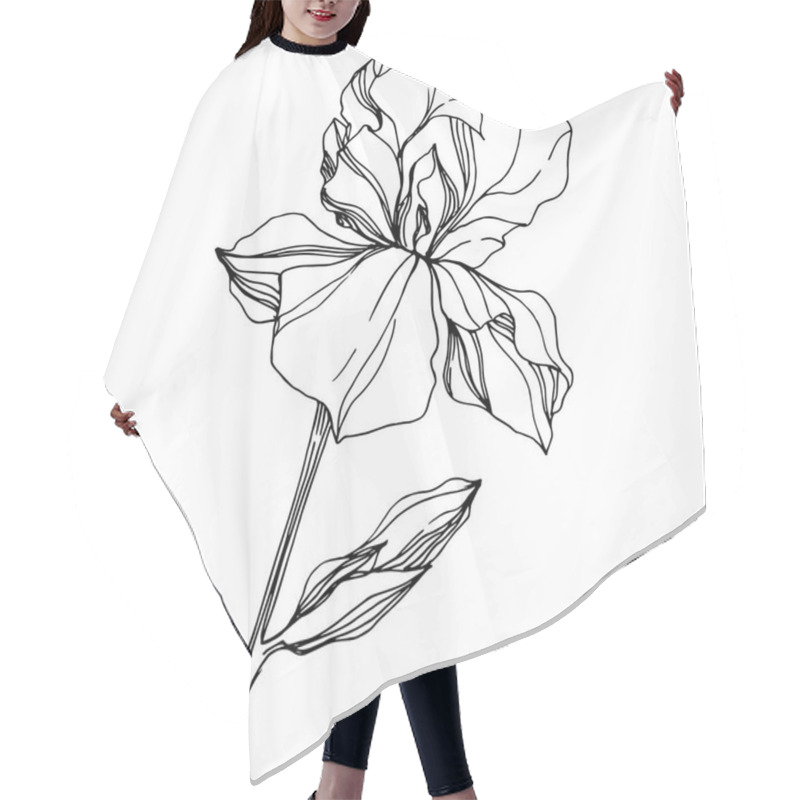 Personality  Vector Iris Floral Botanical Flower. Wild Spring Leaf Wildflower Isolated. Black And White Engraved Ink Art. Isolated Iris Illustration Element On White Background. Hair Cutting Cape