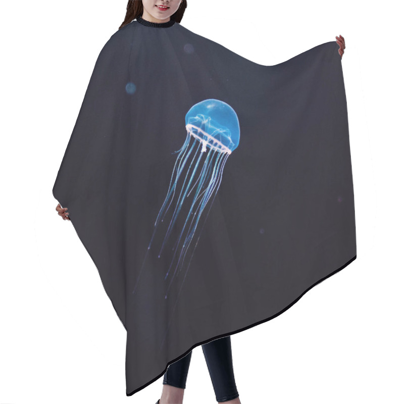 Personality  Beautiful Jellyfish, Medusa In The Neon Light With The Fishes. A Hair Cutting Cape