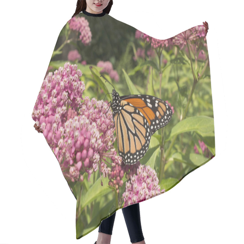 Personality  Monarch Butterfly And Bumble Bee Pollinate Garden Milkweed Flowers Hair Cutting Cape