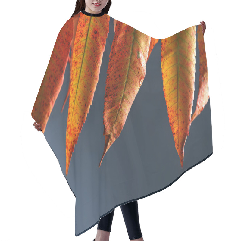 Personality  Autumn Leaves Hair Cutting Cape