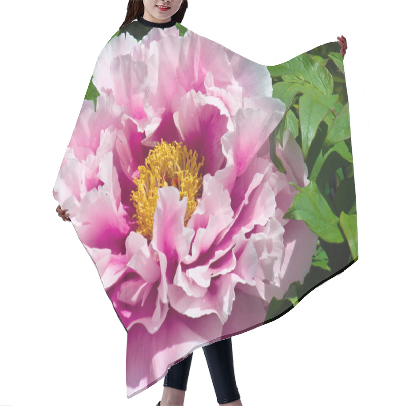 Personality  Japanese Peony Flower Hair Cutting Cape