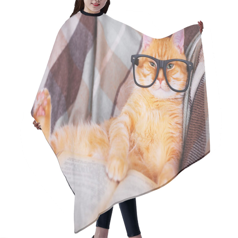 Personality  Red Cat In Glasses Lying On Sofa With Book Hair Cutting Cape