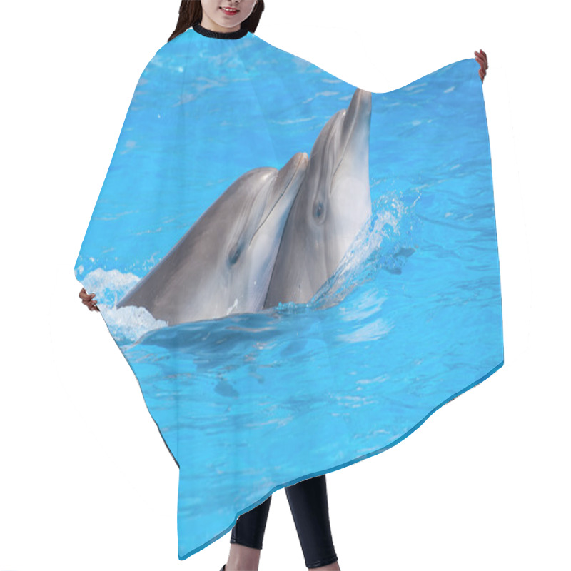 Personality  Swimming Dolphins Hair Cutting Cape