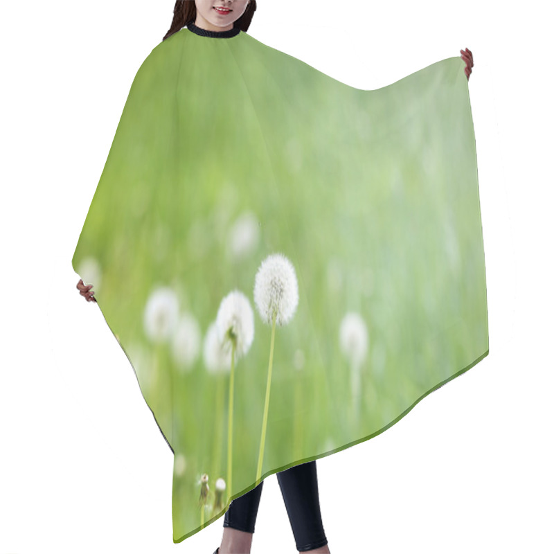 Personality  Beautiful Flowers  Dandelions Hair Cutting Cape