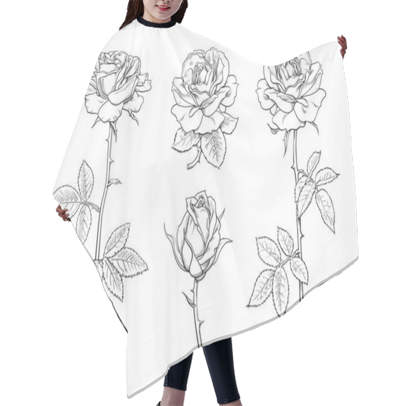 Personality  Big Set Of Rose Flowers, Buds, Leaves And Stems In Engraving Style. Hand Drawn Realistic Open And Unblown Rosebuds Hair Cutting Cape