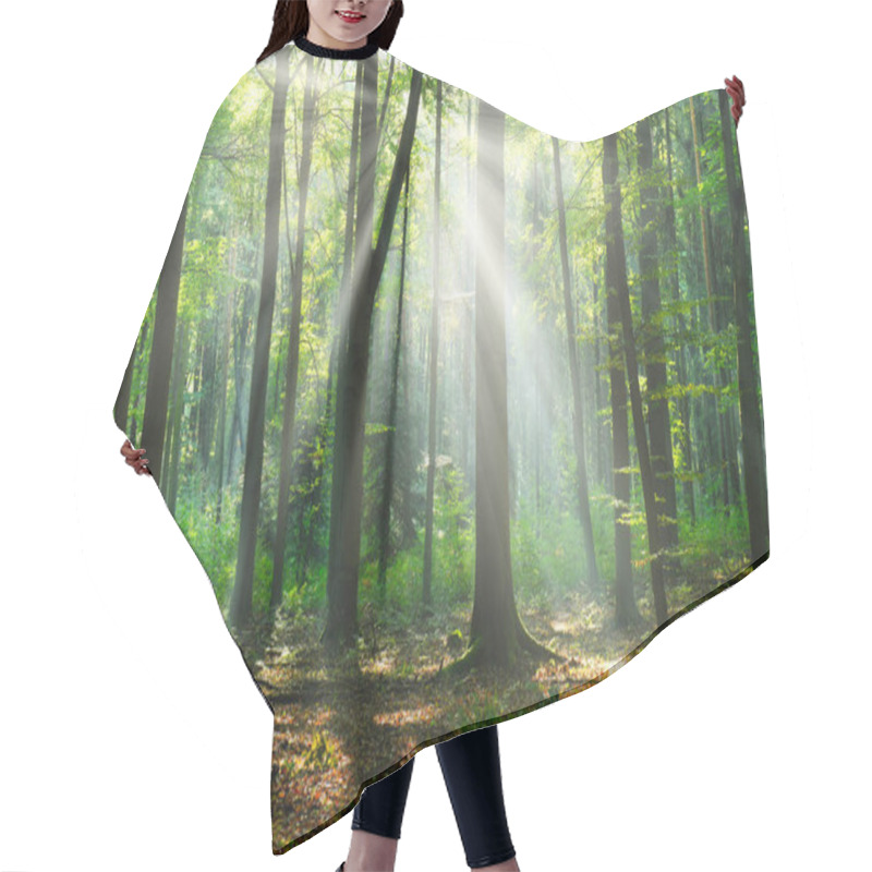 Personality  Beautiful Sunny Morning In The Green Forest Hair Cutting Cape