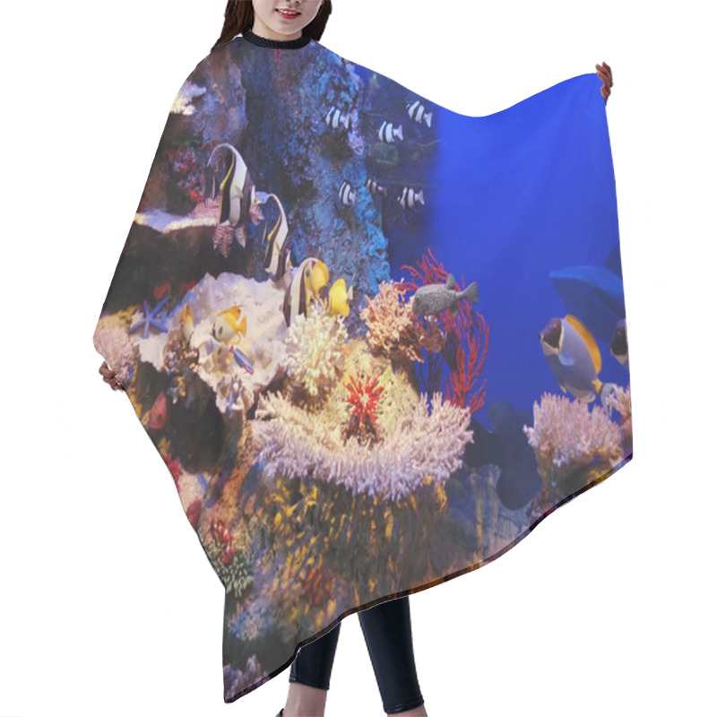 Personality  Underwater Scene Hair Cutting Cape