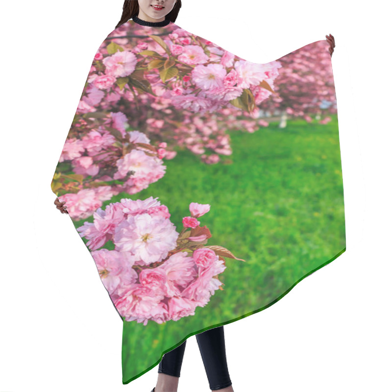 Personality  Pink Flowers Of Sakura Branches Above Grass Hair Cutting Cape