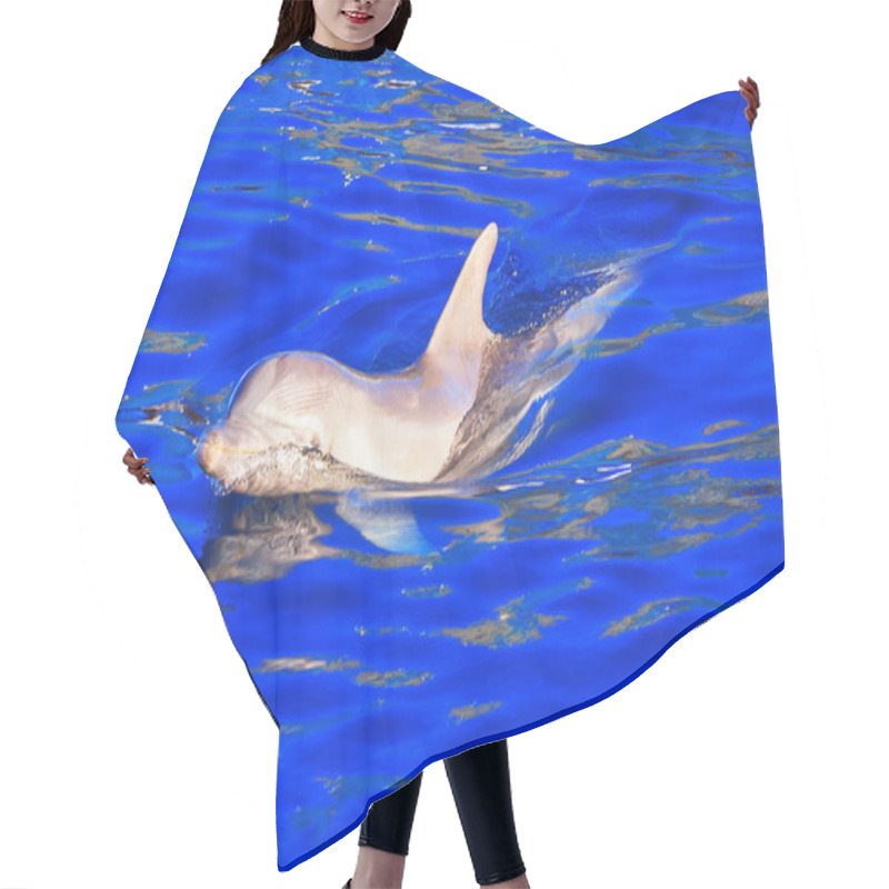 Personality   Dolphin Gracefully Swimming Through Clear Blue Water. Agility And The Beauty Of Marine Life Hair Cutting Cape