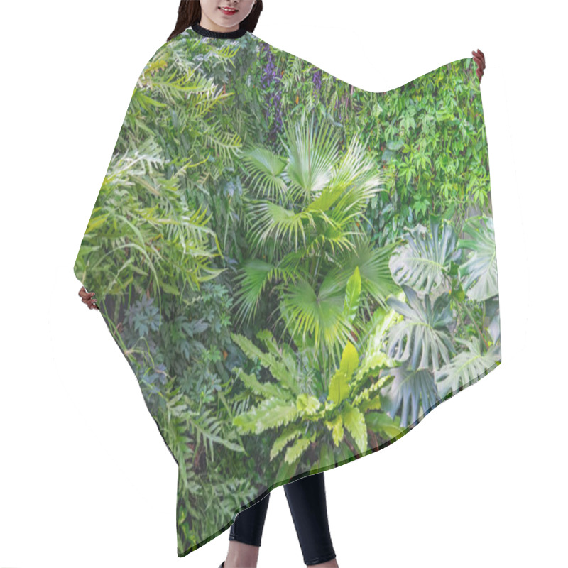 Personality  Cluster Of Various Tropical Plants, Green Leaves Layout. Nature Spring Concept Hair Cutting Cape