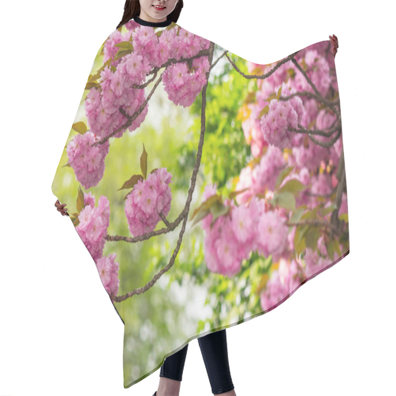 Personality  Pink Flowers Of Sakura Branches Hair Cutting Cape