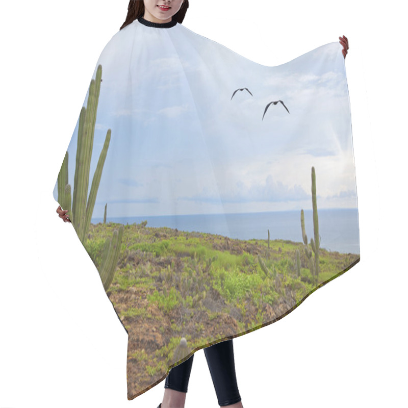 Personality  Aruba Landscape Hair Cutting Cape